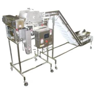 Infeed Conveyors - Transportadores - PROPAC